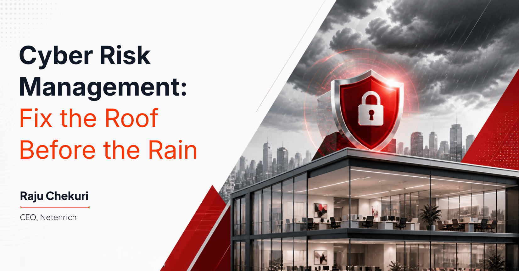 Cyber Risk Management