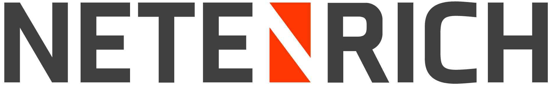 Netenrich logo