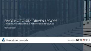 Pivoting to Risk-Driven SecOps - Executive Brief