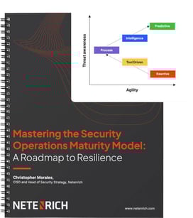 Maturity Model Guide